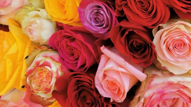 Međunarodni Dan žena