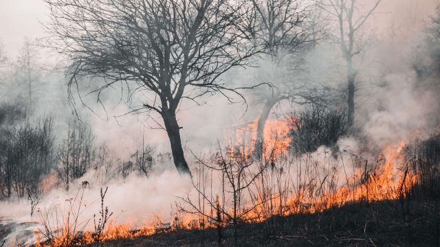 Zabrana paljenja vatre na otvorenom